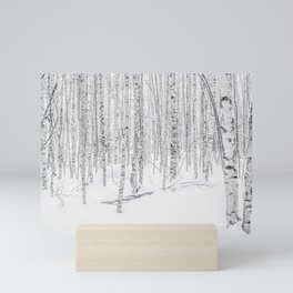 Swedish Birch Trees Mini Art Print