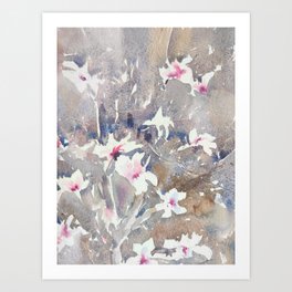 Magnolia Tree  Art Print