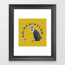 Ring Tailed Lemur Framed Art Print