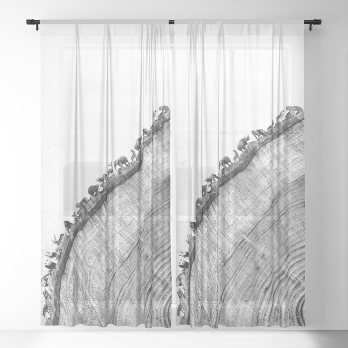 Sheer Curtain
