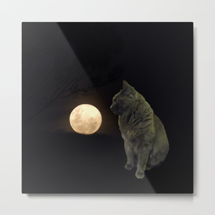 Moon cat Metal Print