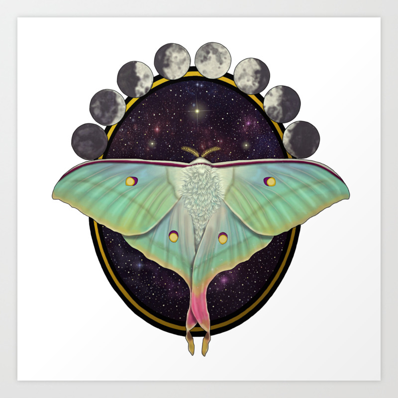 Indian Moon Moth Art Print By Taraaird Society6