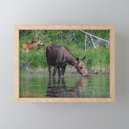 Algonquin Moose Encounter I Framed Mini Art Print