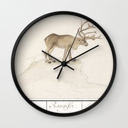 Reindeer, Rangifer tarandus  Wall Clock