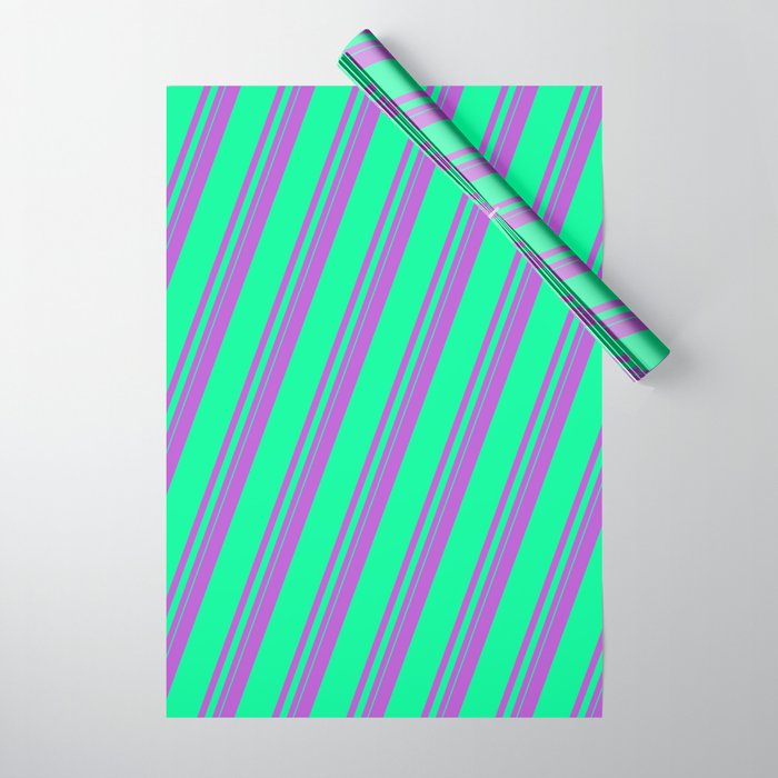 Orchid and Green Colored Lined/Striped Pattern Wrapping Paper