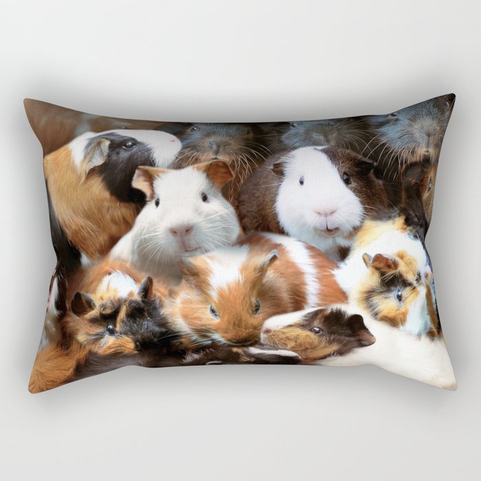 Rectangular Pillow