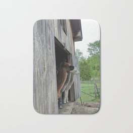 Seeing Triple Bath Mat | Farm, Digital, Photo, Outdoors, Nature, Barn, Alpaca, Color 