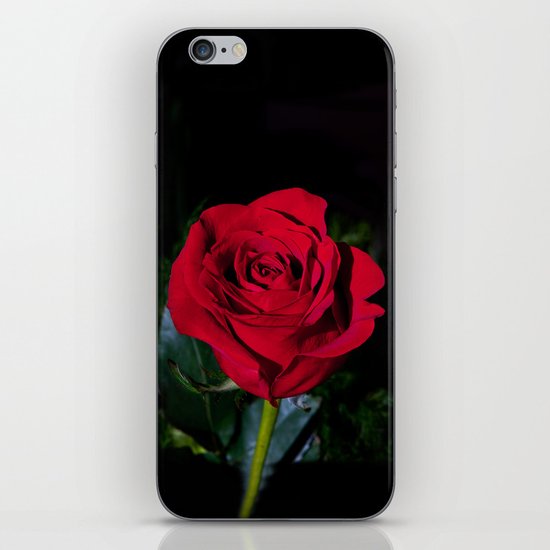 Rose iPhone & iPod Skin