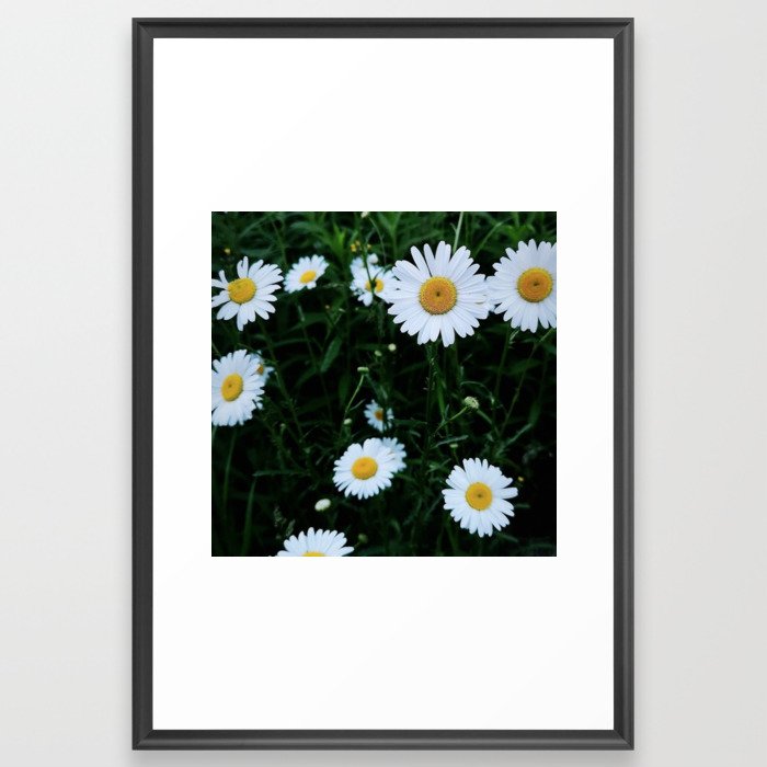White Flowers Framed Art Print