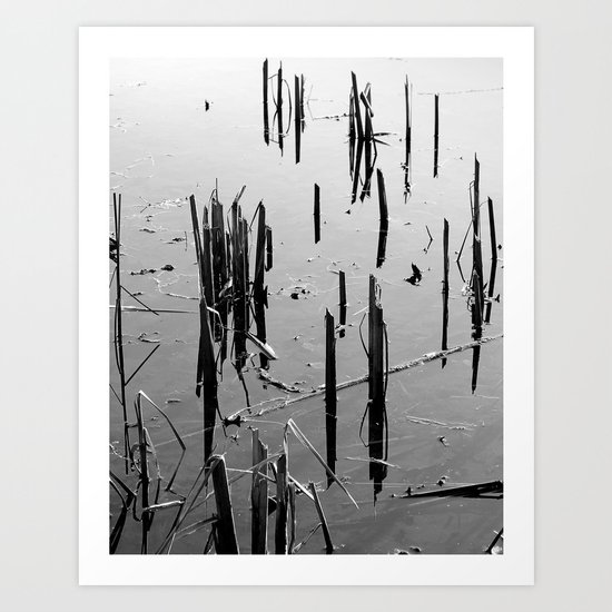 Swamp Scape Art Print