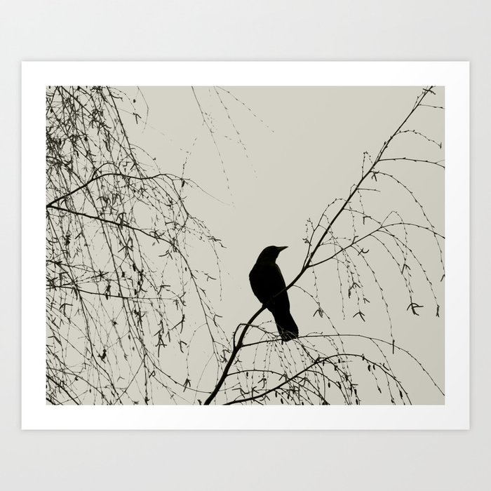 Crow in the Willow - Graphic Birds Series, Plain - Modern Home Decor Art Print