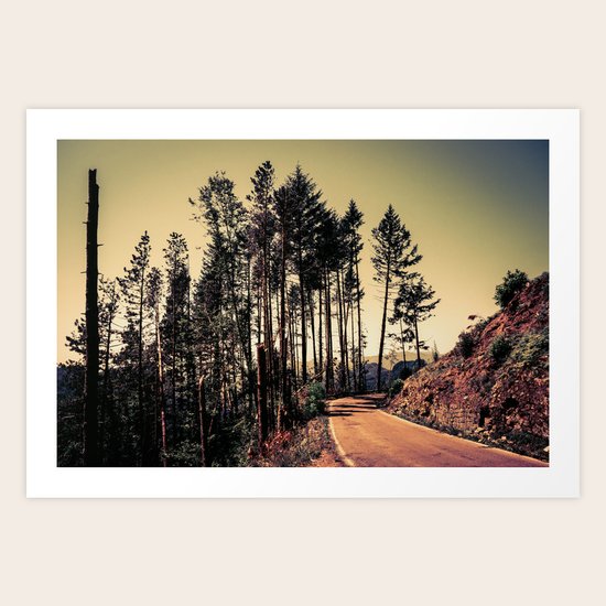 Woodland #2 Art Print