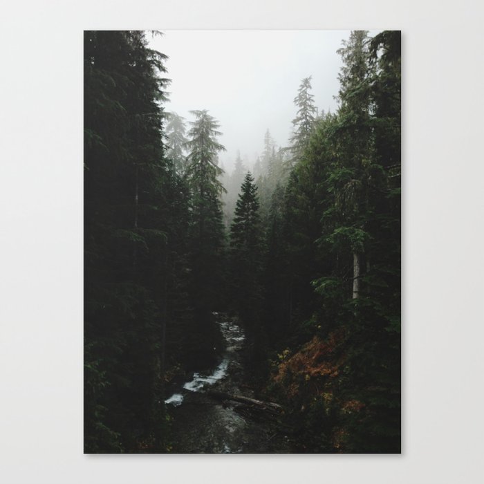 Rainier Creek Canvas Print