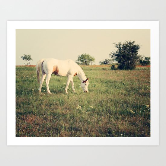 It's not a unicorn! It's a white horse! Art Print