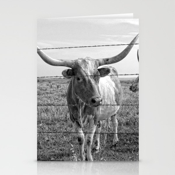 Longhorn Cows Stationery Cards
