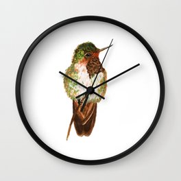 Volcano Hummingbird Wall Clock | Realism, Botanical, Ink, Hummingbird, Bird, Botanique, Volcanohummingbird, Painting, Illustration, Watercolor 