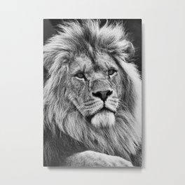 Lion King Metal Print | Photo, Cats, Black And White, Animal, Feline, Lion, Bigcat, Wildlife, Lionking 