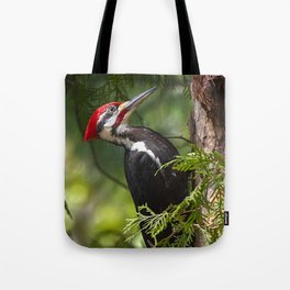 Pileated Woodpecker 6340 Tote Bag