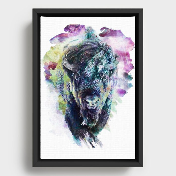 Bison Framed Canvas
