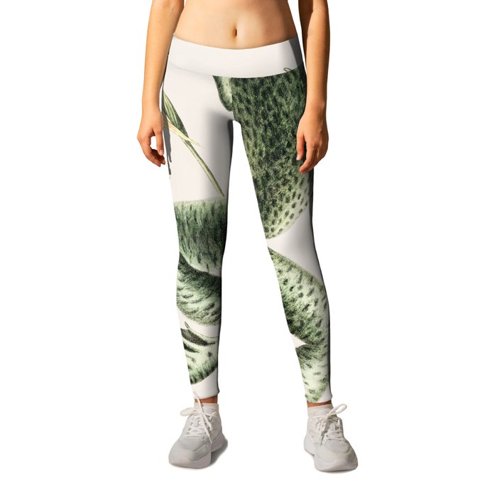 Bull Frog Leggings