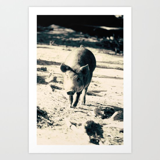 Some Pig Art Print