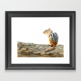 Little Chip - a painting of a Chipmunk by Teresa Thompson Framed Art Print