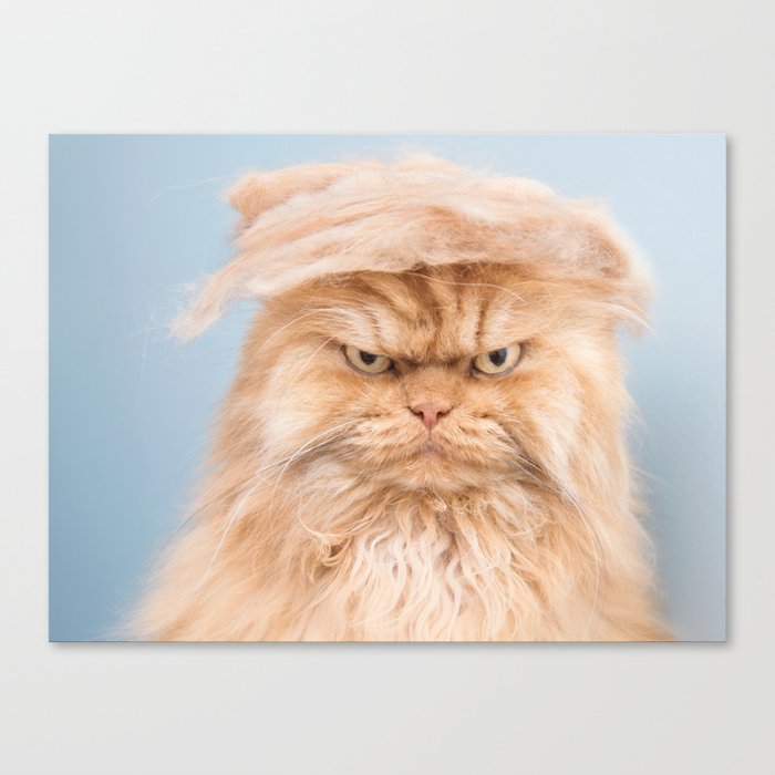Trumpy Cat,best gift for cat lovers Canvas Print