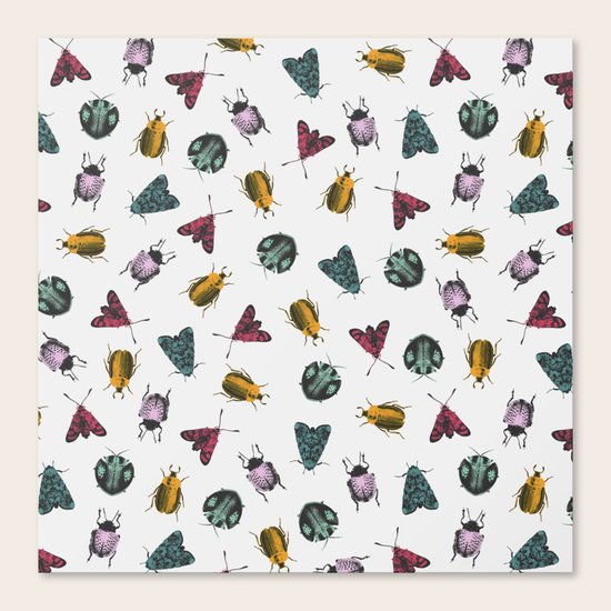 Bugs Canvas Print