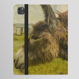 Vintage  cute brown donkey colt on the field iPad Folio Case