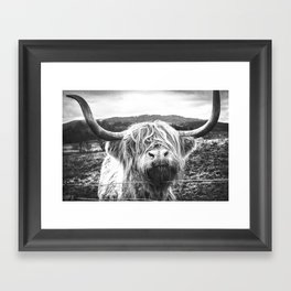 Highland Cow Nose Barbed Wire Fence Black and White Framed Art Print