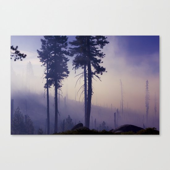 PURPLE FOG #2 Canvas Print