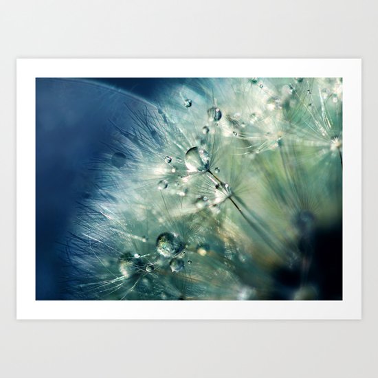 Dandelion Drama Art Print