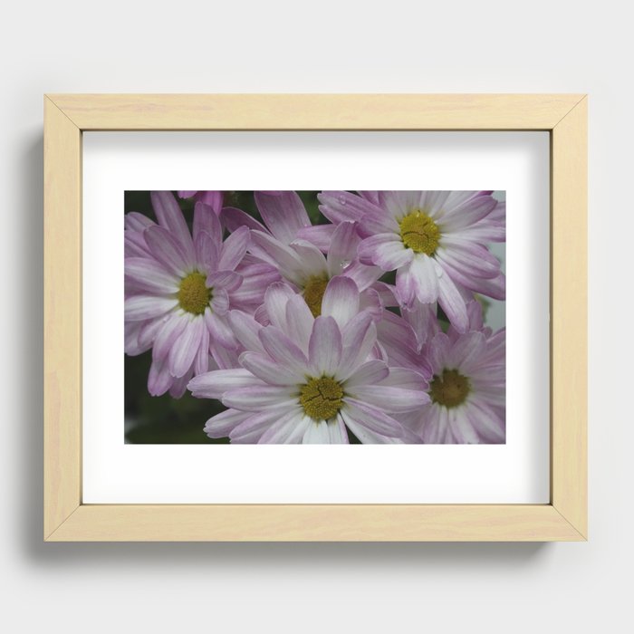 Pretty pink flowers Recessed Framed Print