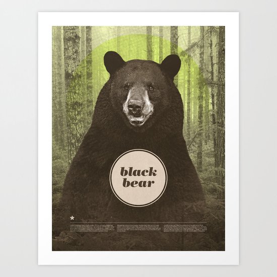 Black Bear Art Print