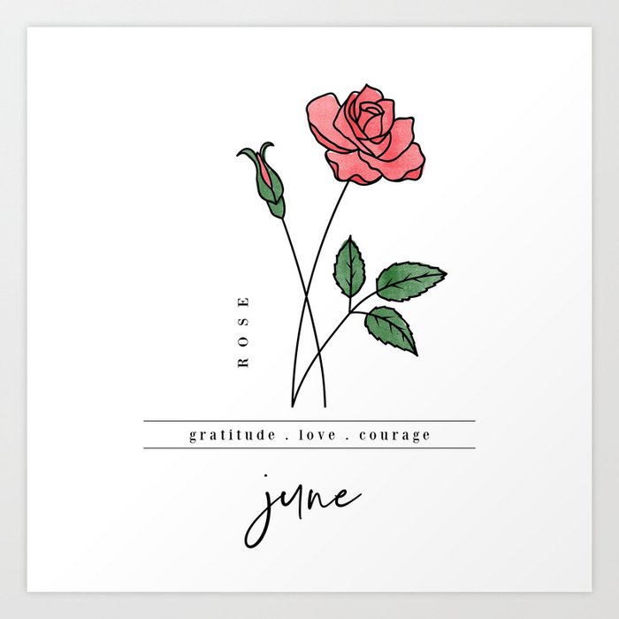 June Birth Flower Rose Art Print by Jande Summer Society6
