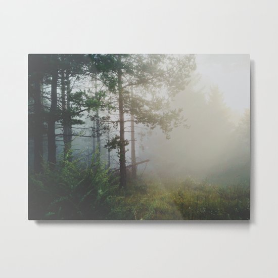 Fog in the forest Metal Print