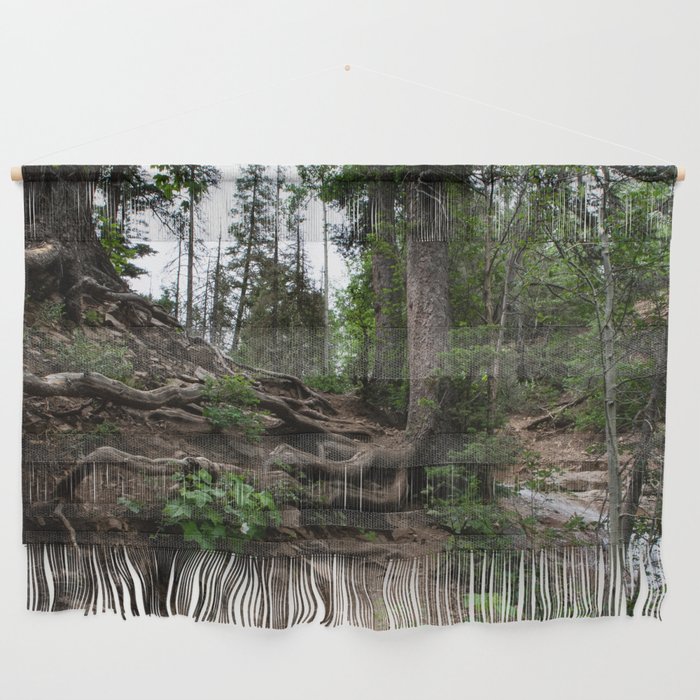 Roots on Mountainside, Colorado Wall Hanging