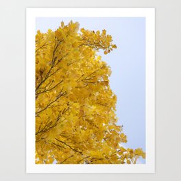 Autumn Leaves - Fine Art Photography No 2 Art Print