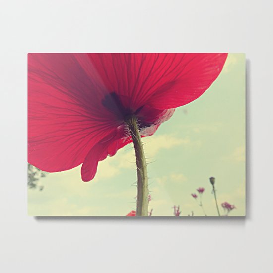 Red Poppy, Blue Sky Metal Print