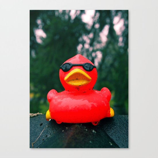 Northwest duck Canvas Print
