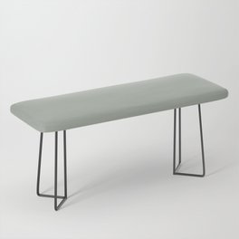 Medium Green Gray Solid Color Pairs PPG Light Drizzle PPG1033-4 - All One Single Shade Hue Colour Bench