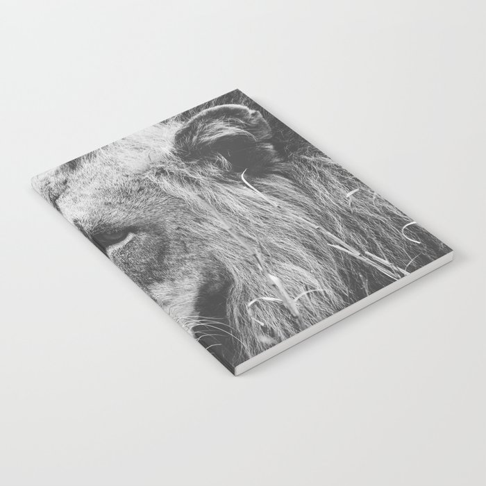 South Africa Photography - Lion In Black And White Notebook