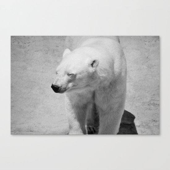 Polar Bear Photography | Canada | Adventure | Wild | Mammal | Nature | Wildlife | Travel Canvas Print