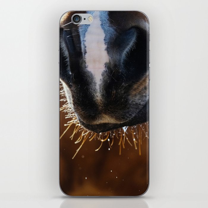 Horse Whiskers iPhone Skin