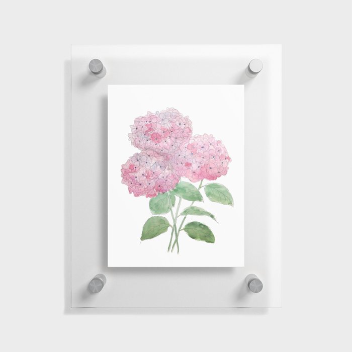 3 pink hydrangea flower ink and watercolor Floating Acrylic Print