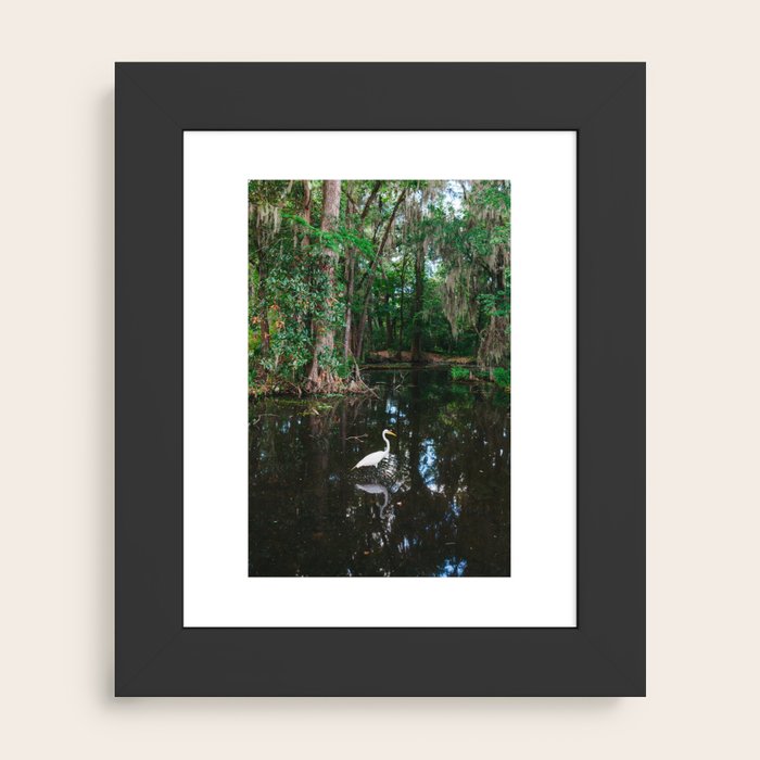 Framed Art Print