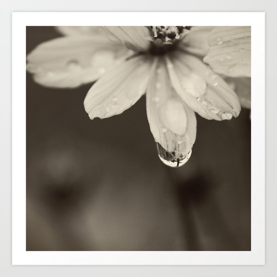 Waterdrop Art Print