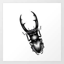 Stag Beetle Art Print