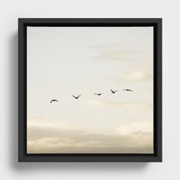 GooseAir 2 Framed Canvas