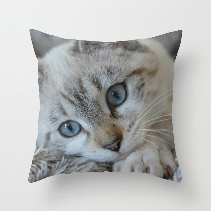 Cute Kitten Blue Eyes Throw Pillow